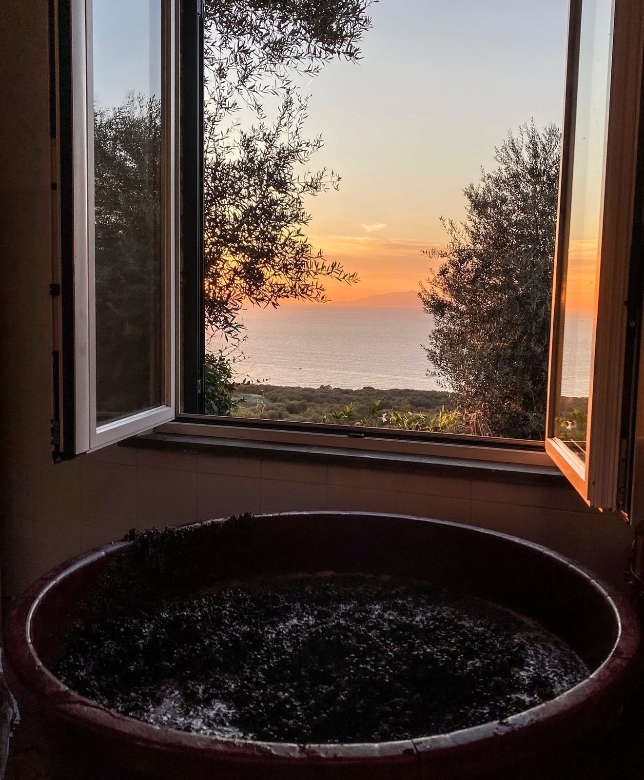 Vineyard Dinner at Casa Rispo